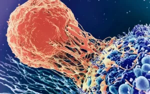 Scientists Discover Body’s ‘Kill Switch’ Capable of Destroying Cancer Cells