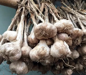 People who should avoid eating garlic