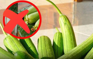 Many people cook the wrong way without knowing it