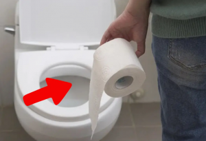 Why should you put a piece of paper in the toilet before using it?