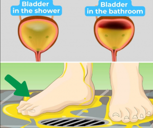 Peeing in the Shower, Doctor Explains Why Women Shouldn’t