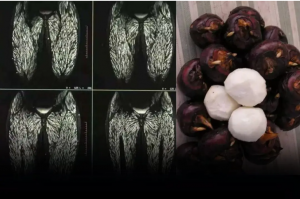 Eating Just One Bite is Already Harmful, But Many Still Eat It Without Worry