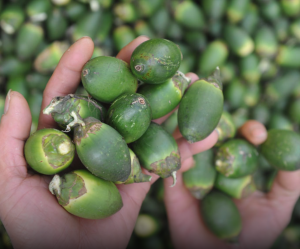 4 Everyday Fruits Doctors Warn Could Fuel Cancer Growth