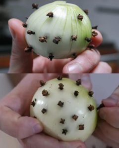 The Surprising Trick of Sticking Cloves into an Onion –