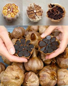 The Power of Black Garlic: Nature’s Aged Superfood
