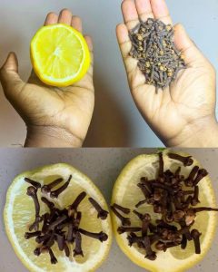 Discover the Powerful Benefits of Clove, Lemon, and Onion: A Natural Combination