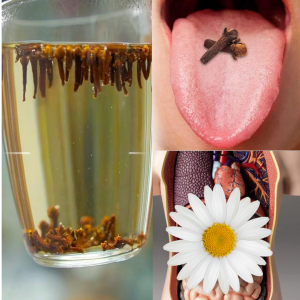 Clove Water: The Hidden Power in Kitchen