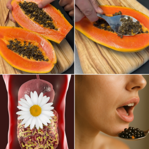 Papaya Seeds for Gut Health: The Simple Secret Inside Fruit