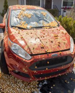 My Neighbor Egged My Car for Blocking His Halloween Display — So I Gave Him a Gift He’ll Never Forget