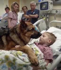 Boy shares a heartfelt hug with his dog before surgery