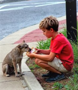 The Day a Red SUV Stopped Beside My Son — and the Secret Behind the Stray Dog That Changed Everything