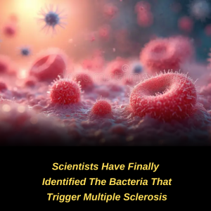 Scientists Explore the Possible Link Between Specific Bacteria and Multiple Sclerosis