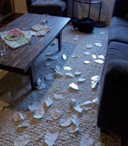 My Stepmom Smashed My Late Mom’s Treasured Crystal Set to Pieces – She Had No Idea She Was the One Being Tricked