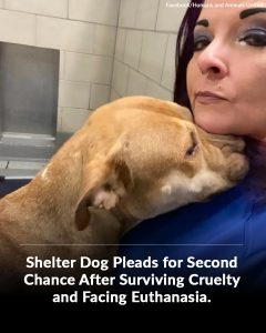 “She was begging for her life.”