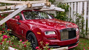 Rich Man Refused to Fix My Fence After Crashing His Rolls-Royce Into It – What I Found in My Yard the Next Day Left Me Speechless