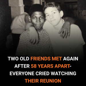 Two Old Friends Met Again After 58 Years Apart – What They Did Next Left Everyone in Tears