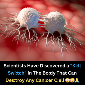 Scientists Discover Body’s ‘Kill Switch’