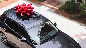 I Bought Food for a Poor Old Man and His Dog – What I Saw at My Door the Next Morning Left Me Frozen