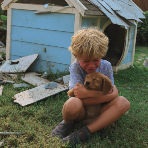 Our Neighbor Destroyed My Son’s Puppy’s House – Karma Was Faster than Me