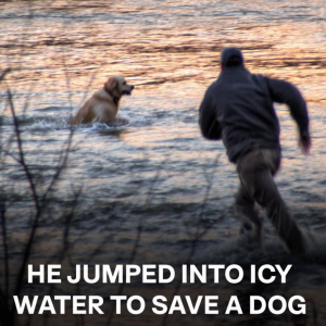 A Crowd Filmed a Dog Drowning – The Man Who Saved It Never Expected Who Would Show up Next