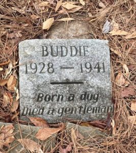 Man Stumbles on an 80-Year-Old Dog Grave — The Story Behind It Brings Everyone to Tears