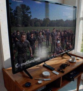 My Sister’s Kids Broke My TV & She Refused to Pay for It — but Karma Had Other Plans