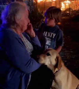A 68-Year-Old Grandma Lost Everything in a Fire – What Happened After I Shared Her Story Online Was Unreal