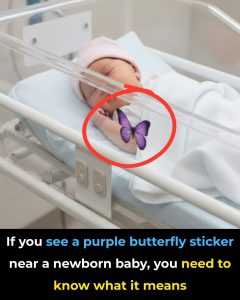 After My Parents Died, My Aunt Took Their Money and Gave Me Away – 20 Years Later, I Got Hired as Her Housekeeper