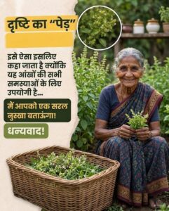 आँखों की रोशनी बढ़ाने और दृष्टि को साफ रखने का प्राकृतिक आयुर्वेदिक उपाय