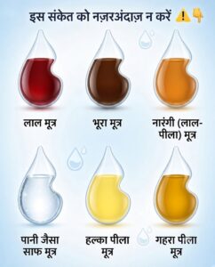 पेशाब का रंग क्या कहता है आपके स्वास्थ्य के बारे में? जानिए हर रंग का मतलब और सही उपाय