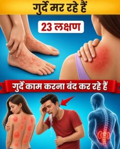 गुर्दे (किडनी) की कार्यक्षमता कमजोर होने के शुरुआती संकेत: समय रहते पहचानें और प्राकृतिक रूप से सुरक्षित रहें