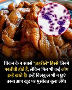 चिकन के 4 सबसे नुकसानदेह हिस्से: जिन्हें खाने से सेहत को हो सकता है भारी नुकसान