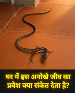 घर में लंबी पूंछ वाली छिपकली (ग्रास लिज़ार्ड) का दिखना: जानिए इसका असली रहस्य और कारण