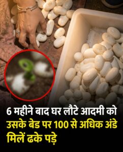 लंबे समय बाद घर लौटने पर बिस्तर पर मिले सैकड़ों रहस्यमयी अंडे: जानिए पूरा सच