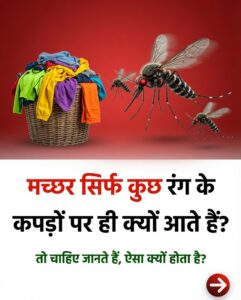 मच्छर सिर्फ कुछ खास रंग के कपड़ों पर ही क्यों आते हैं? जानिए इसके पीछे का असली विज्ञान