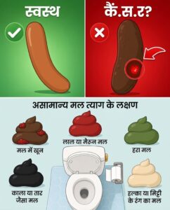 मल के रंग और बनावट से जानें अपनी पाचन शक्ति और सेहत का पूरा सच: क्या सामान्य है और क्या नहीं?