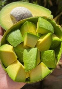 डॉक्टरों ने खुलासा किया कि एवोकाडो खाने से क्या होता है… और जानने के लिए पढ़ें।