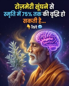 रोज़मेरी की सुगंध और मानसिक क्षमता को बढ़ाने वाले इसके प्राकृतिक गुण