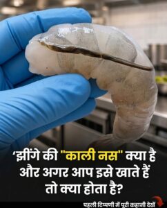 झींगे की पीठ पर दिखने वाली ‘काली नस’ क्या है और इसे खाने से क्या होता है? जानिए सफाई का सही तरीका