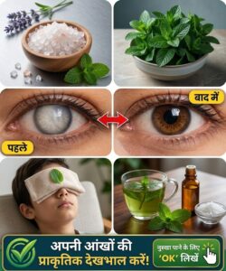 आंखों की रोशनी और ताजगी के लिए प्राकृतिक उपाय: पुदीना और घरेलू नुस्खों से करें अपनी आंखों की सही देखभाल